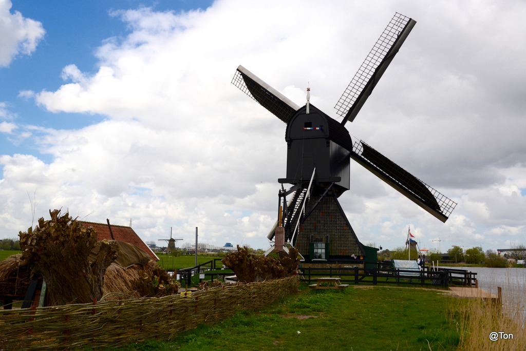 DSC_1212 (Edited).JPG